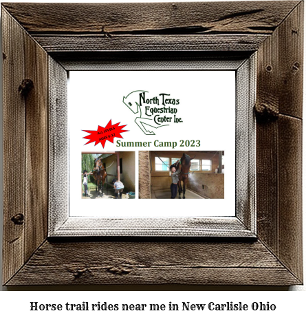 horse trail rides near me in New Carlisle, Ohio